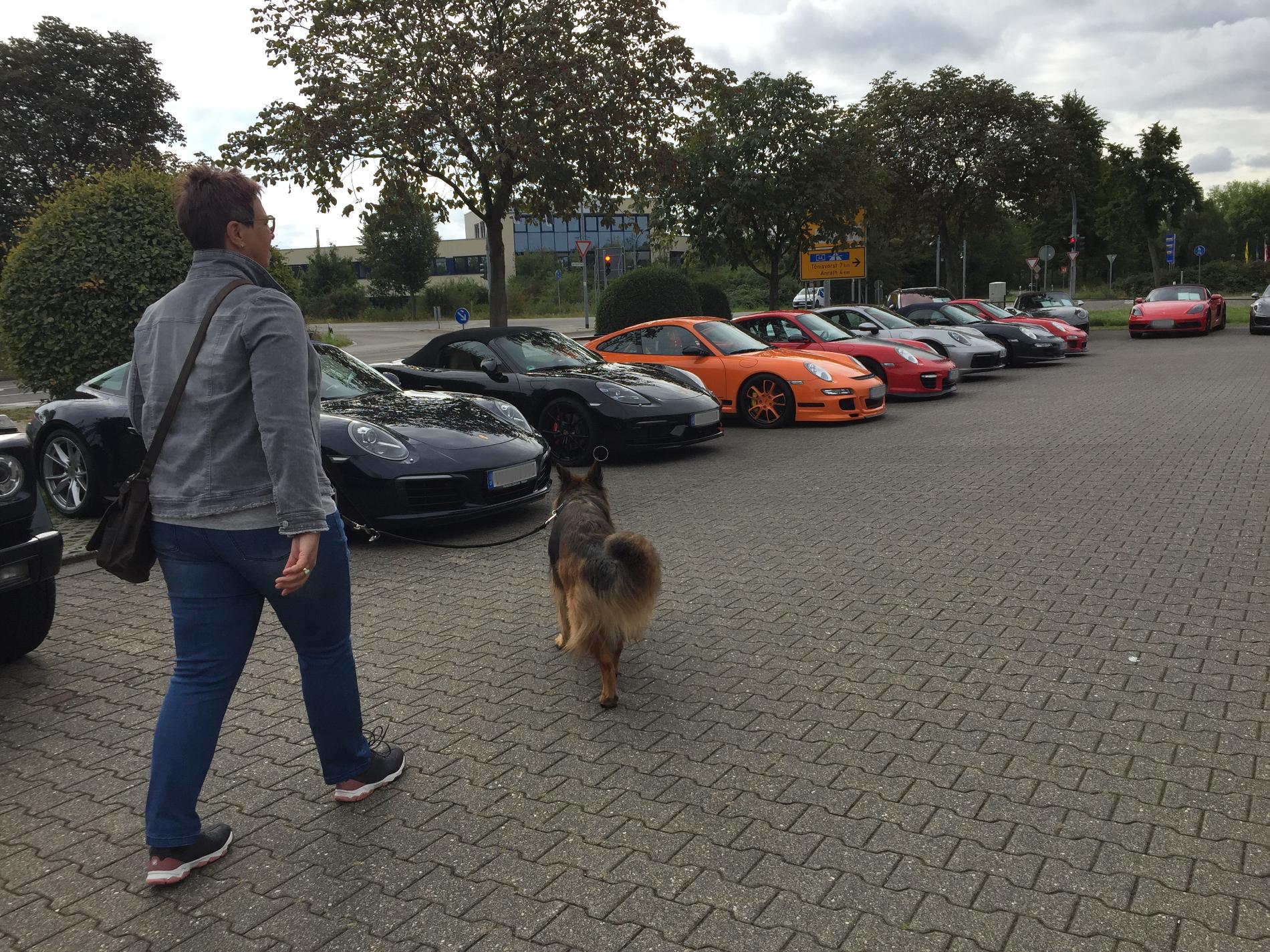 unsere tierischen Porschefreunde